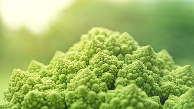 Salmão Grelhado com Crosta de Ervas e Purê de Couve-Flor: Guia de Refeição Proteica